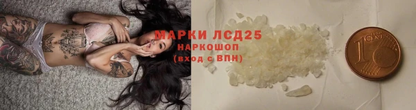 прущие грибы Абдулино