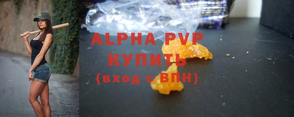 прущие грибы Абдулино