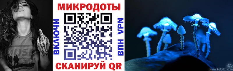 Галлюциногенные грибы ЛСД  Заволжье 